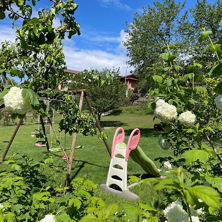 Bb10 Oasi Guest House Arona Eksteriør bilde